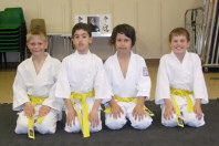 New yellow belts - click to view larger image